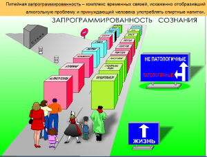 пивная зависимость